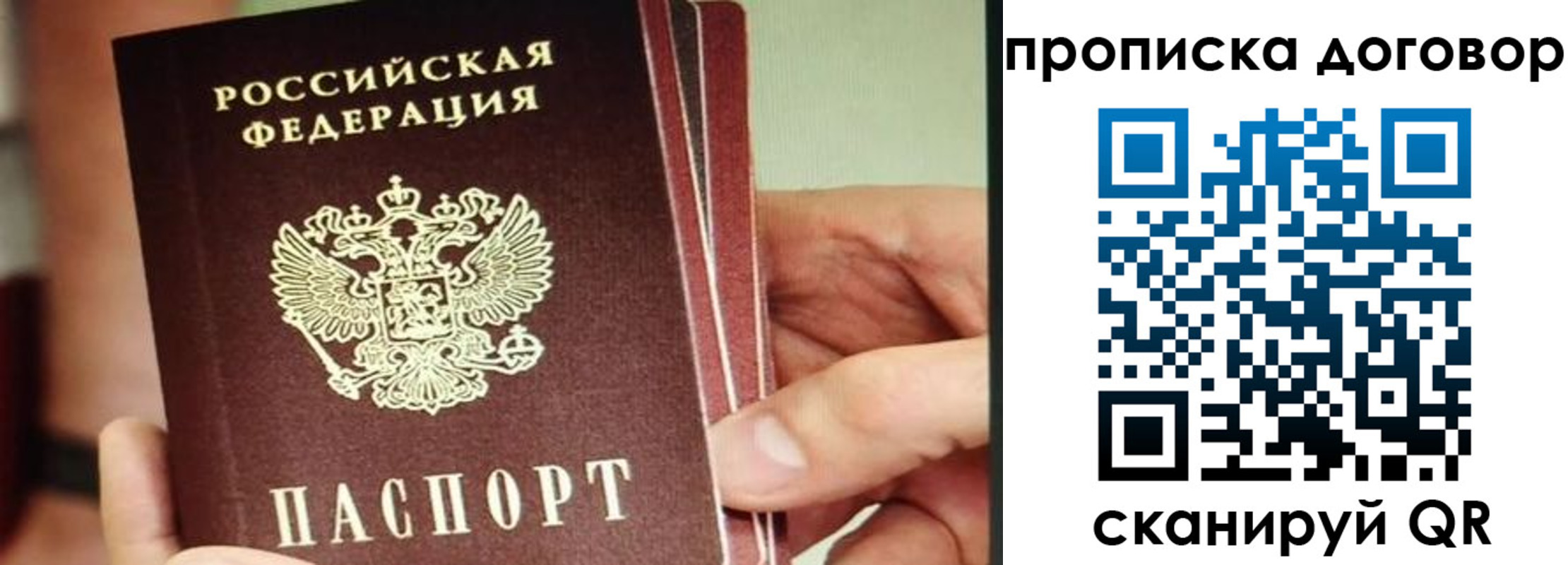 прописка в Калтане